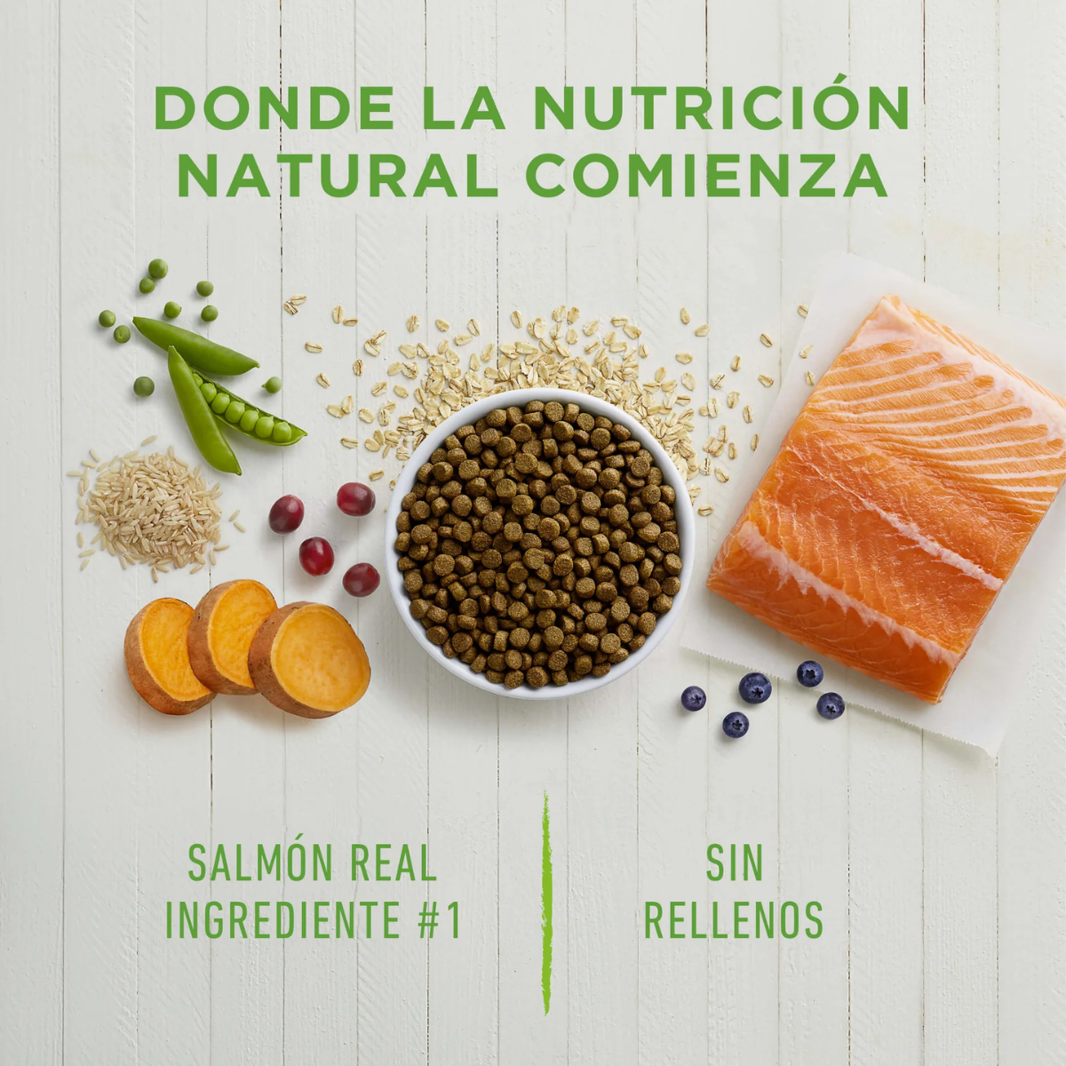 Instinct Be Natural Salmón - Alimento para perros
