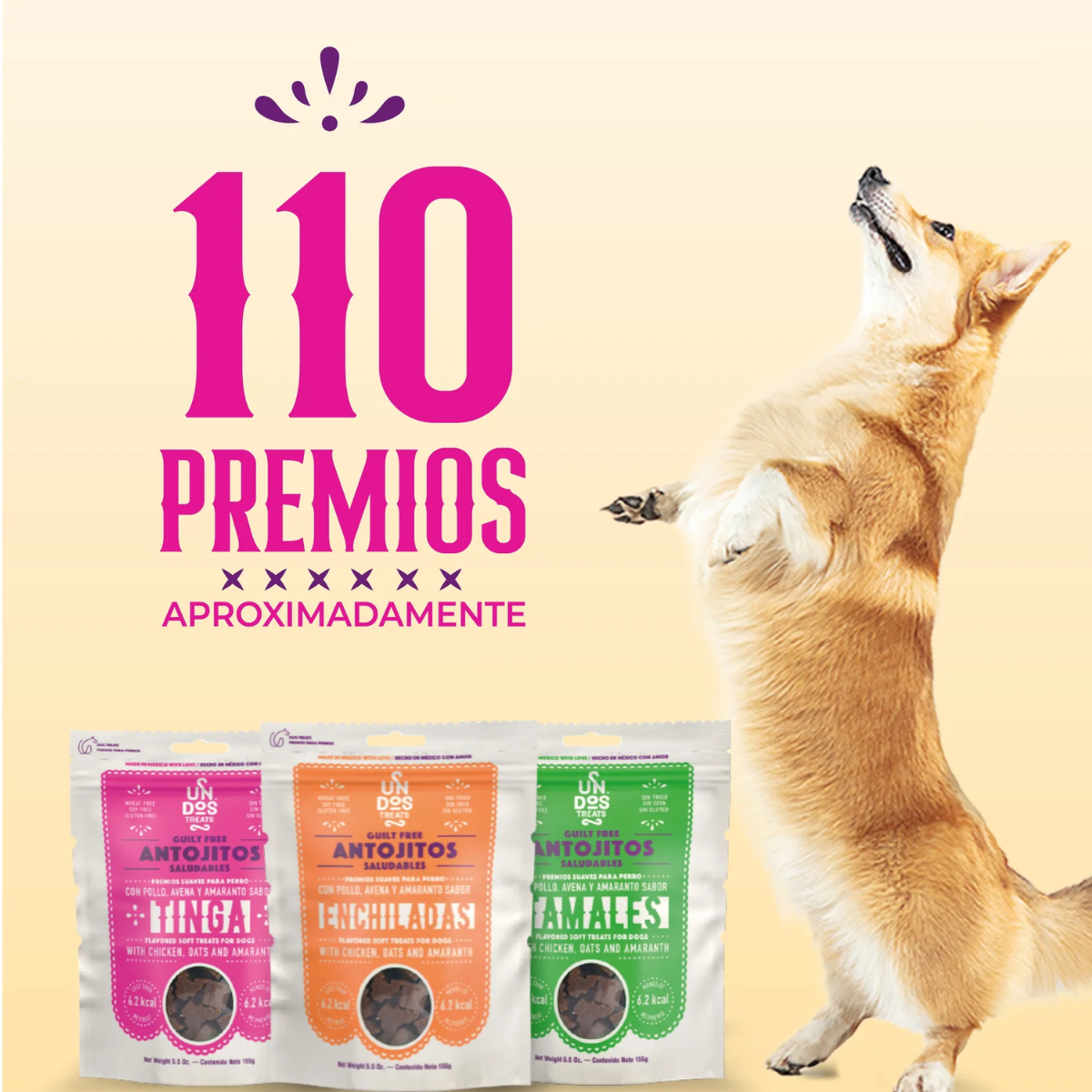 Guilt Free Antojitos Saludables - Tinga