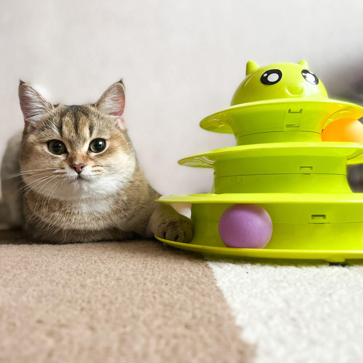 Juguetes para gatos