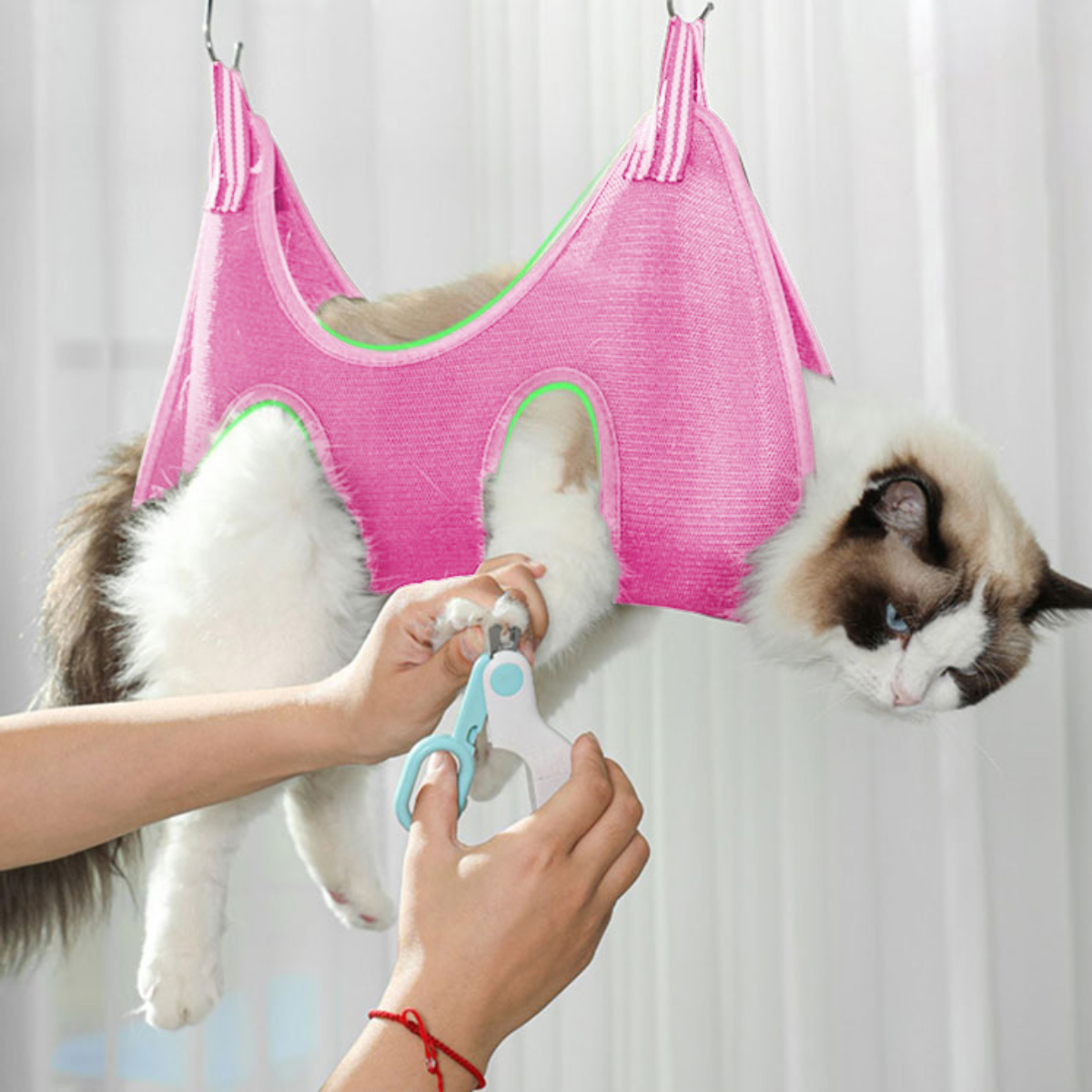 Aseo para gatos