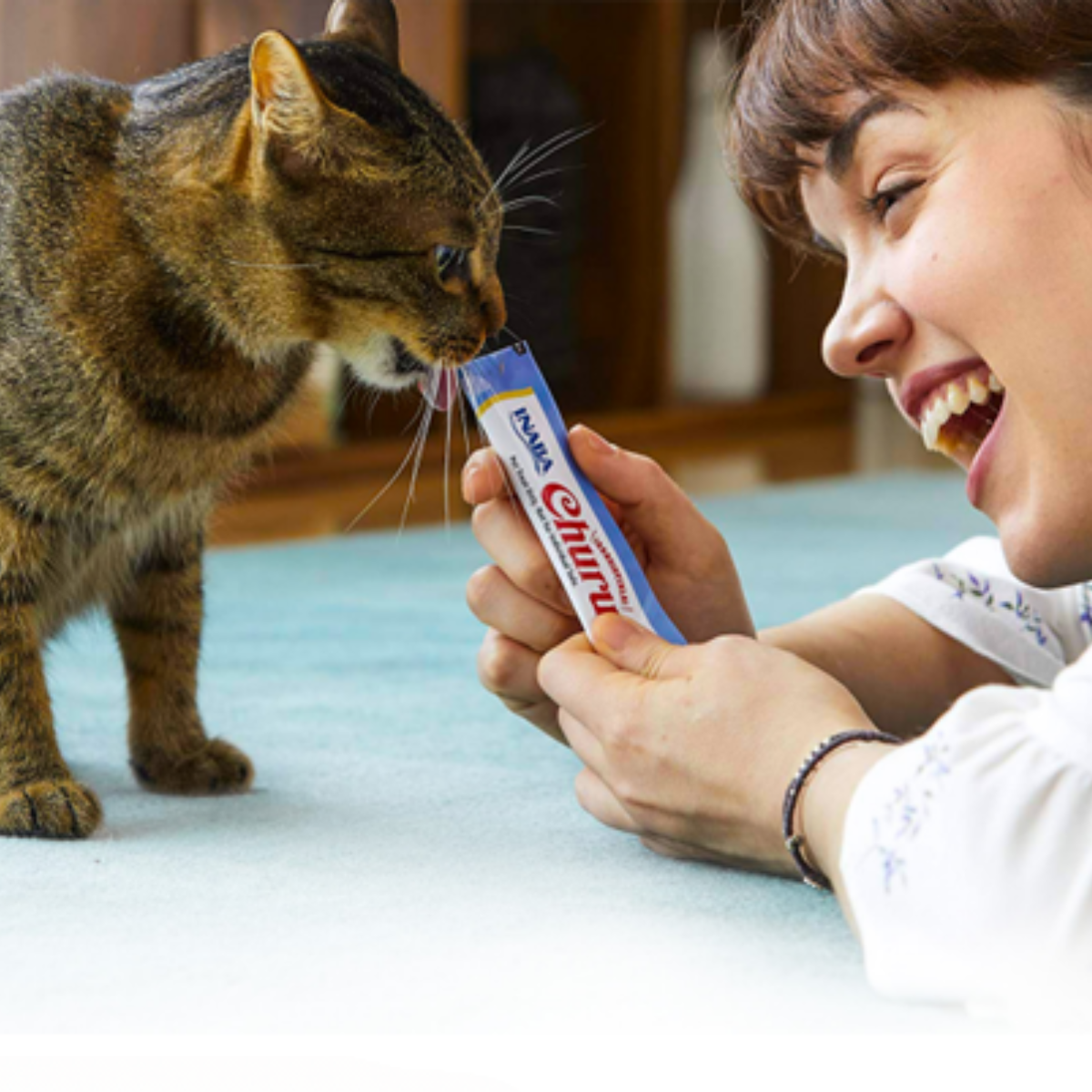 Premios para gatos