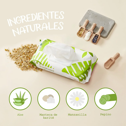 Toallitas Húmedas para Perros con Aroma Lavanda – 100 pzs